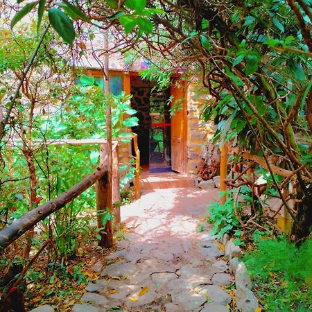 Hospedaje K'Uchuwasi Ollantaytambo Kültér fotó